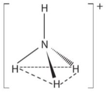 Dạng hình học của ion ammonium