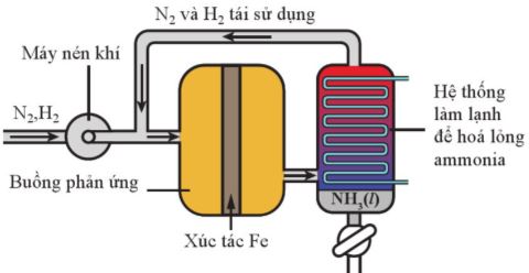 Sơ đồ nguyên tắc quá trình Haber tổng hợp ammonia