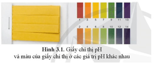 Giấy chỉ thị pH