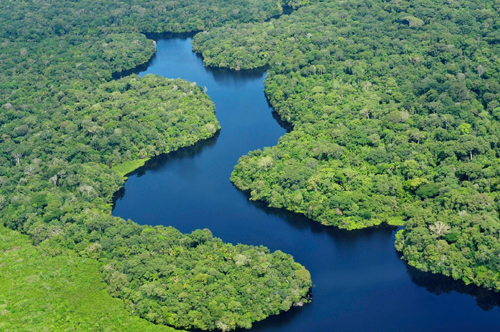 Rừng mưa nhiệt đới Amazon