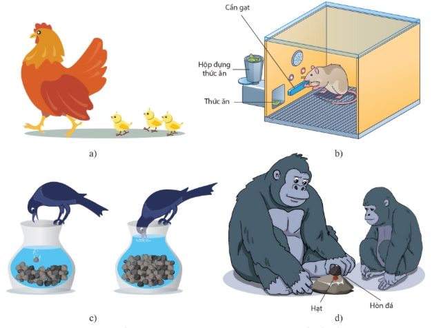 Một số hình thức học tập ở động vật