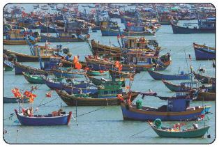 Tàu thuyền đánh cá ở Mũi Né, Bình Thuận