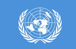 Tổ chức Liên hợp quốc (UN)
