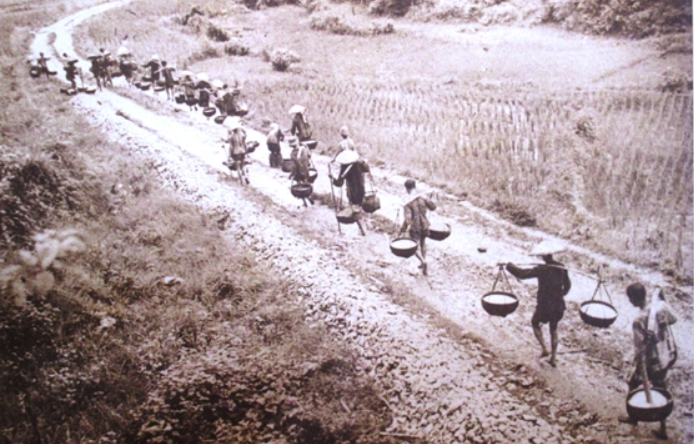 Dân công tỉnh Phú Thọ gánh gạo phục vụ Chiến dịch Trung du năm 1950-1951