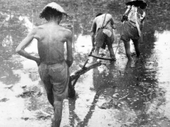 Nông dân Việt Nam thời thuộc Pháp đầu thế kỉ XX