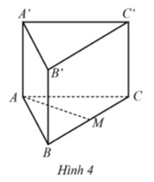 Cho hình lăng trụ ABC.A’B’C’ có ABC là tam giác đều và ABB’A’ là hình chữ nhật
