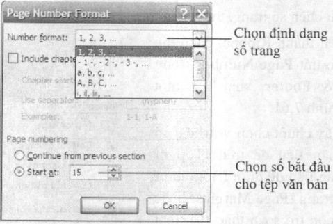 Hộp thoại Page Number Format