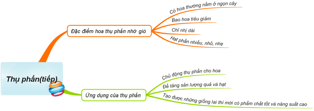 Sơ đồ tư duy Thụ phấn