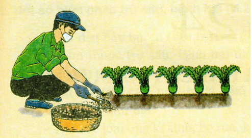 Bài 19: Các biện pháp chăm sóc cây trồng