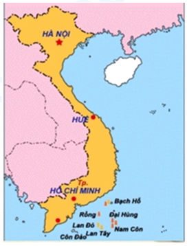 Lý thuyết và câu hỏi trắc nghiệm ôn tập chủ đề Sự phát triển của tự nhiên Việt Nam Địa lí 8