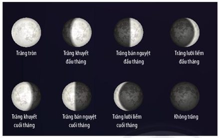 Hình ảnh mô phỏng một số hình dạng nhìn thấy của Mặt Trăng