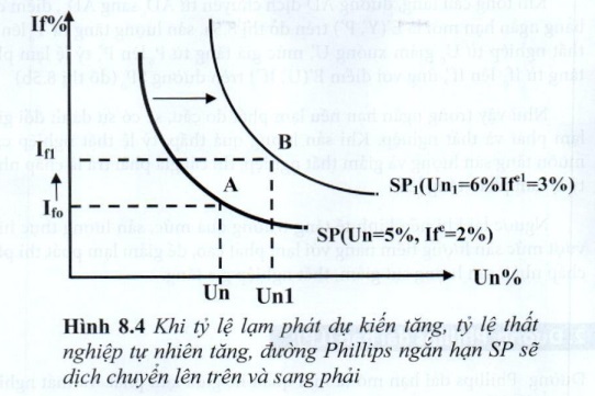 Đường Phillips Phillips curve là gì Mối liên hệ giữa thất nghiệp và lạm  phát qua đường Phillips