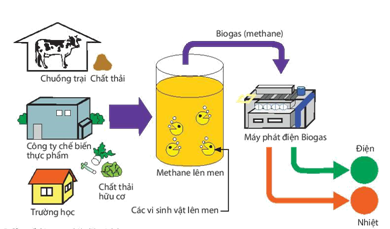 Sản xuất biogas - nhiên liệu sinh học