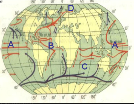 Hinh 64. Bản đồ các dòng biển trong Đại dương Thế giới