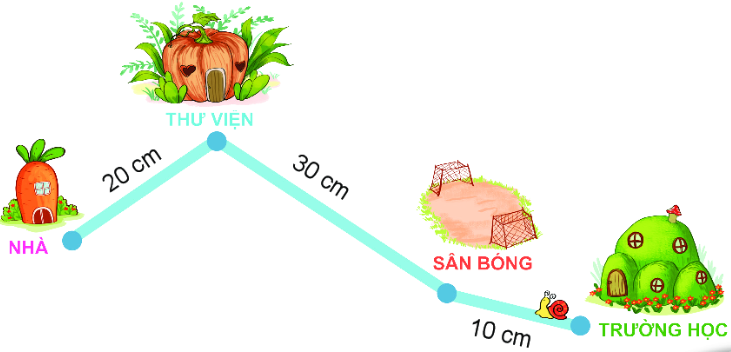 Giải bài 5 trang 111 SGK Toán 2 tập 1 KNTT