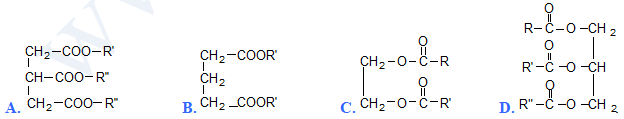Câu hỏi số 8