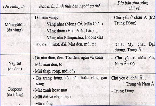 Việt Nam thuộc chủng tộc nào