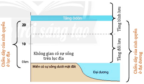 Giới Hạn Của Sinh Quyển Bao Gồm Những Gì? Khám Phá Chi Tiết Về Ranh Giới Sinh Quyển