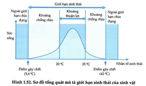 Giới hạn sinh thái và ổ sinh thái: Hiểu rõ để bảo vệ môi trường