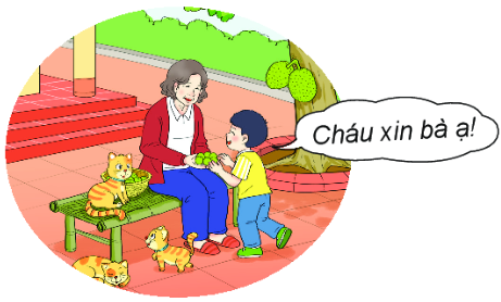 Giải bài 5 trang 45 SGK Toán 2 tập 1 KNTT