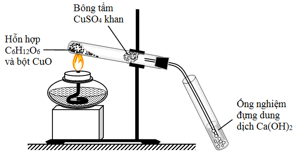 Mô hình thí nghiệm