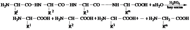 Phản ứng thuỷ phân