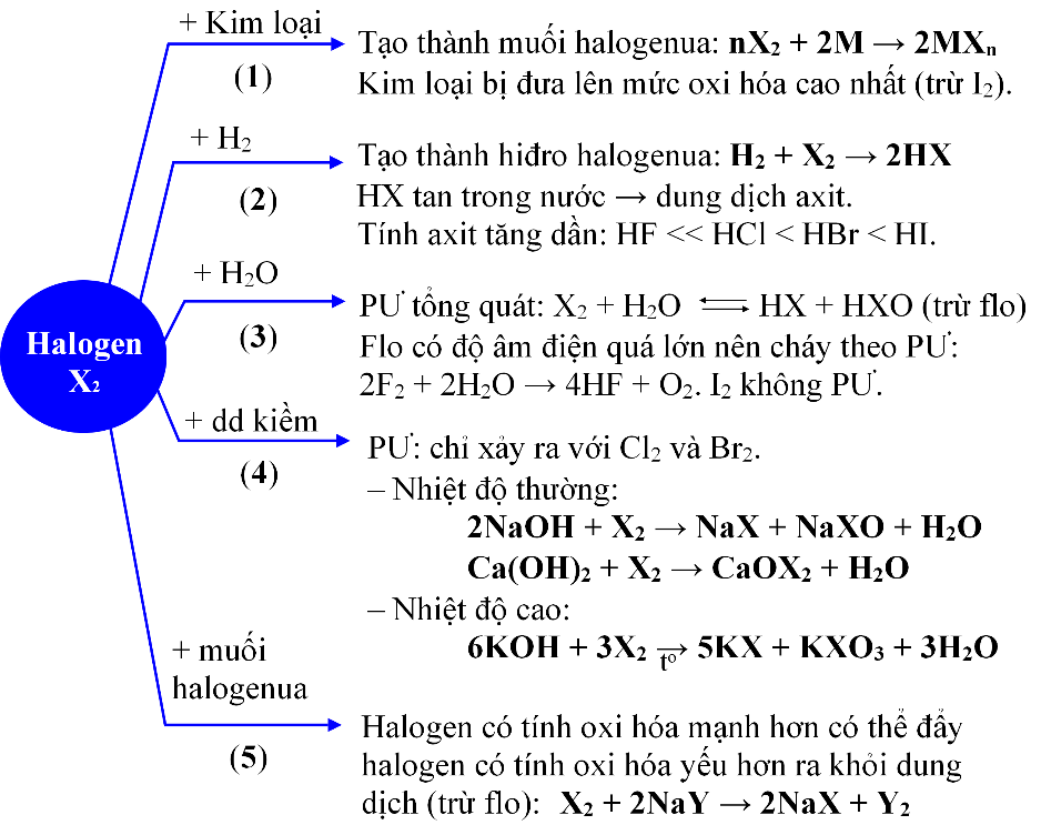 Tính chất Halogen