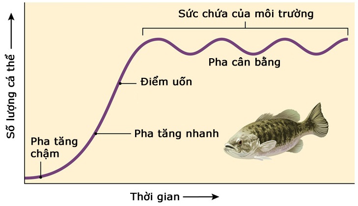 Sự tăng trưởng kích thước của quần thể cá trong môi trường bị giới hạn