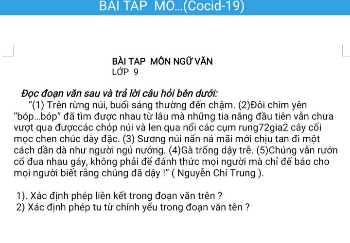 Tổng quan về phép liên kết trong văn bản