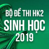 Bộ đề thi HK2 môn Sinh lớp 12 năm 2019