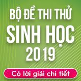 Bộ đề thi thử THPT Quốc gia năm 2019 môn Sinh học có lời giải chi tiết