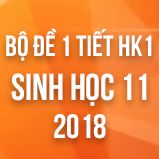 Bộ đề kiểm tra 1 tiết HK1 môn Sinh học lớp 11 năm 2018