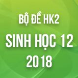 Bộ đề thi HK2 môn Sinh học lớp 12 năm 2018