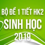 Bộ đề kiểm tra 1 tiết HK2 môn Sinh học lớp 12 năm 2019