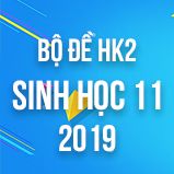 Bộ đề thi HK2 môn Sinh học lớp 11 năm 2019