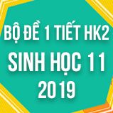 Bộ đề thi 1 tiết HK2 môn Sinh học lớp 11 năm 2019