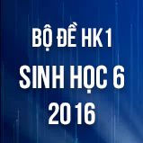 Bộ đề thi HK1 môn Sinh học lớp 6 năm 2016