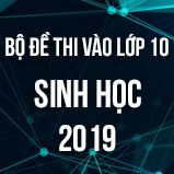 Bộ đề thi tuyển sinh vào lớp 10 THPT môn Sinh học năm 2019