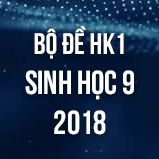 Bộ đề thi HK1 môn Sinh học lớp 9 năm 2018