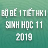 Bộ đề kiểm tra 1 tiết HK1 môn Sinh học lớp 11 năm 2019
