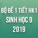Bộ đề kiểm tra 1 tiết HK1 môn Sinh học lớp 9 năm 2019