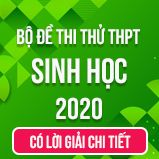 Bộ đề thi thử tốt nghiệp THPT Quốc gia năm 2020 môn Sinh học có lời giải chi tiết