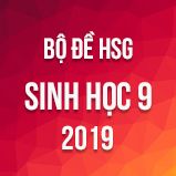 Bộ đề thi HSG môn Sinh học lớp 9 năm 2019 - 2020