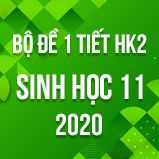 Bộ đề kiểm tra 1 tiết HK2 môn Sinh học lớp 11 năm 2020