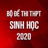 Bộ đề thi tốt nghiệp THPT môn Sinh học năm 2020