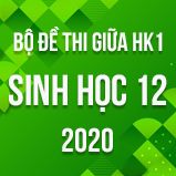 Bộ đề thi giữa HK1 môn Sinh học lớp 12 năm 2020