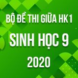 Bộ đề thi giữa HK1 môn Sinh lớp 9 năm 2020