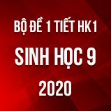 Bộ đề kiểm tra 1 tiết HK1 môn Sinh lớp 9 năm 2020