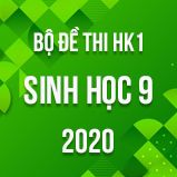 Bộ đề thi HK1 môn Sinh học lớp 9 năm 2020
