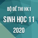 Bộ đề thi HK1 môn Sinh học lớp 11 năm 2020